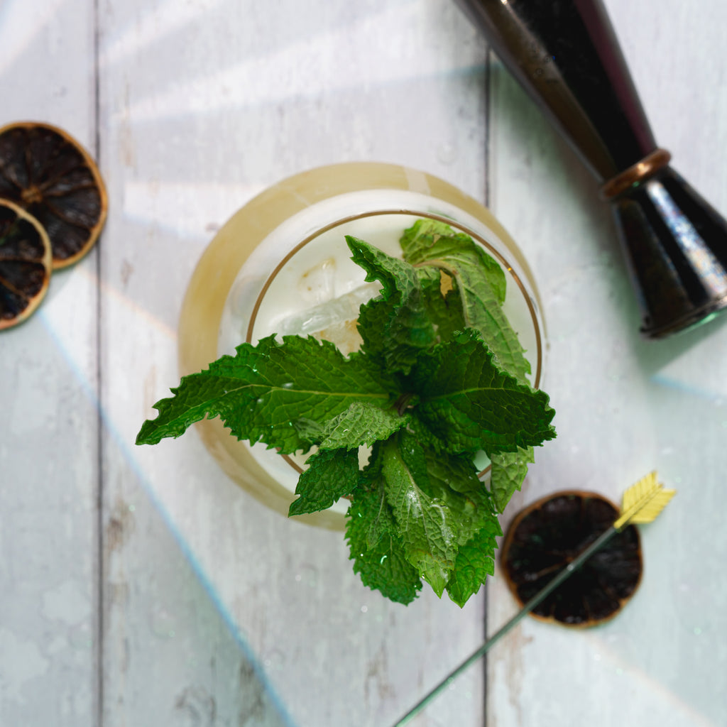 Cocktail Mixer Premium Cucumber Jalapeño Mojito Mix - 750ml